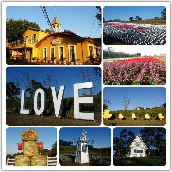 大溪花海農場：【桃園景點】大溪花海農場