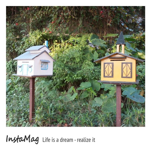 大溪花海農場：【桃園景點】大溪花海農場