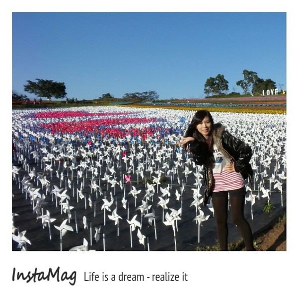 大溪花海農場：【桃園景點】大溪花海農場