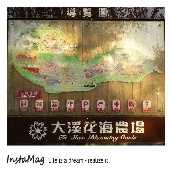 大溪花海農場：【桃園景點】大溪花海農場