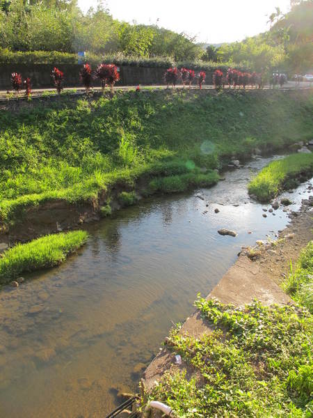 大溪湖畔咖啡：(胖樺食記)桃園大溪湖畔咖啡。世外桃源的人間仙境讓人如癡如醉。