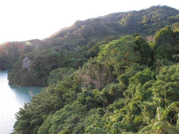 大溪湖畔咖啡：(胖樺食記)桃園大溪湖畔咖啡。世外桃源的人間仙境讓人如癡如醉。
