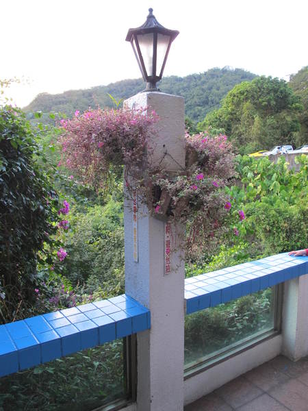 大溪湖畔咖啡：(胖樺食記)桃園大溪湖畔咖啡。世外桃源的人間仙境讓人如癡如醉。