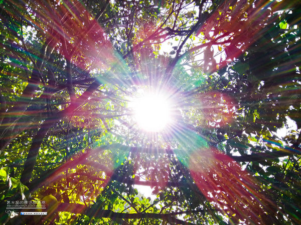 20141028_122244_HDR_副本