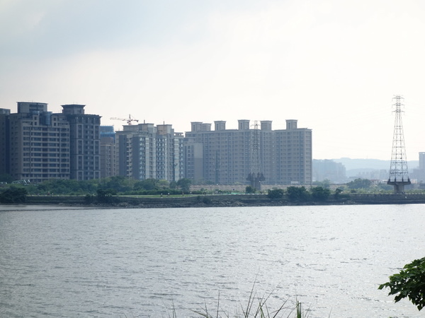 cm20140705___2f2fb88fa1cd06879bc5d66969d