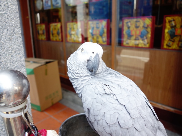 cm20140705___060ef53a1ab641506636e02a1cc