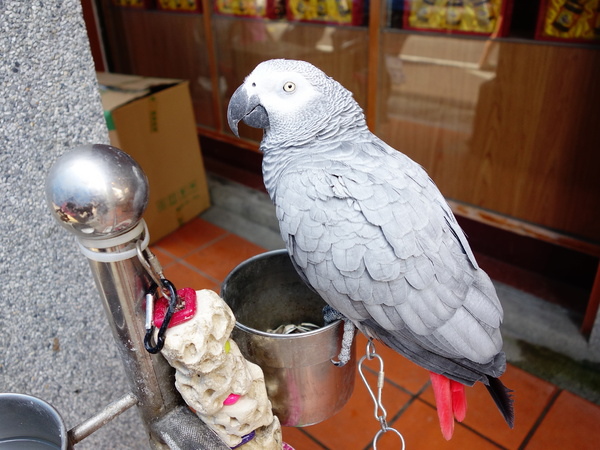 cm20140705___d274e75bf3b6f2a2c7a1bfd042e