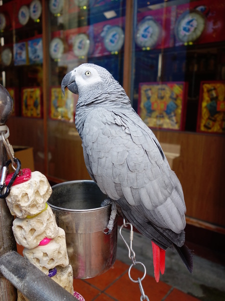 cm20140705___2acca8ab922f9101a97e926ac7c