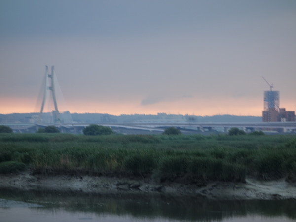 cm20140705___26d7bb218ff0f2feaefe76ff856