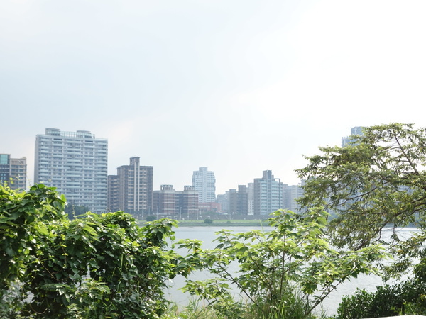 cm20140705___1b59891ed0dce31c578c102b998