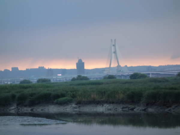 cm20140705___78a589443b84766abe6b5c648f0