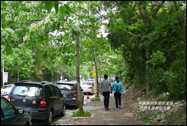 石門水庫桐花大道41.JPG