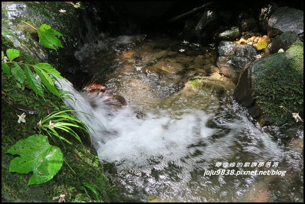 小粗坑47.JPG