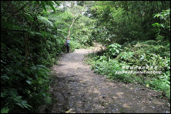 小粗坑40.JPG