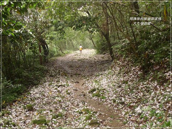 大九芎古道43.JPG