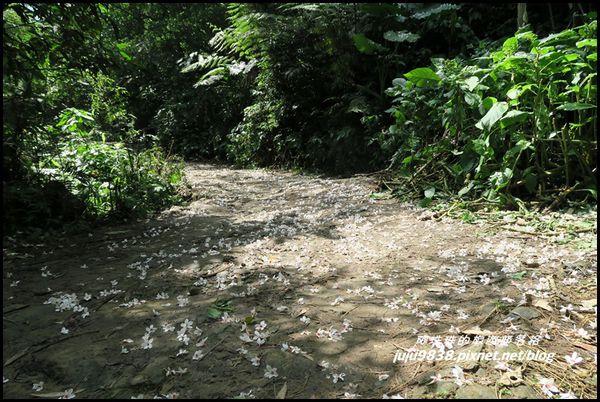 小粗坑2.JPG