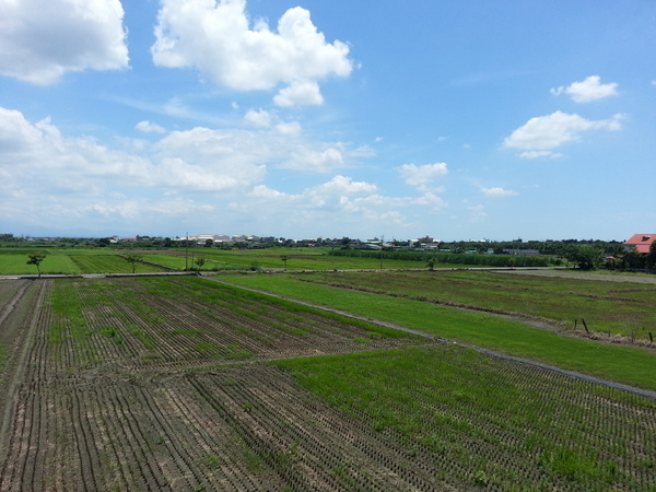 嘉義新港板頭厝交趾剪黏藝術村：[嘉義][景點]新港板頭厝交趾剪黏藝術村