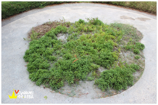 小熊書房：宜蘭冬山｜梅花湖畔旁的寧靜下午茶享受『小熊書房』