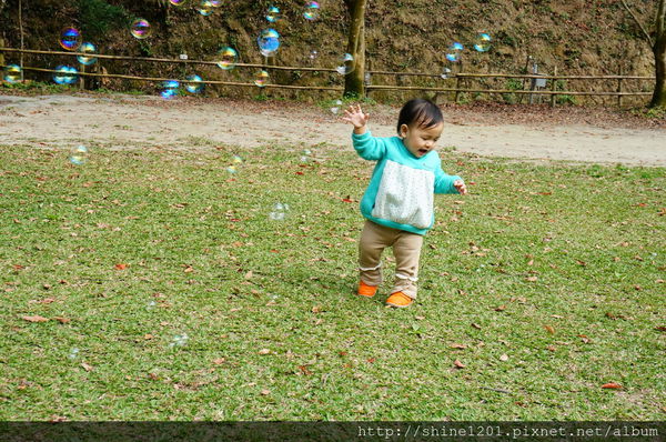 【苗栗景觀餐廳】綠葉方舟 苗栗三義親子旅遊景點推薦【山那邊.綠葉方舟】