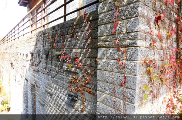 【苗栗景觀餐廳】綠葉方舟 苗栗三義親子旅遊景點推薦【山那邊.綠葉方舟】