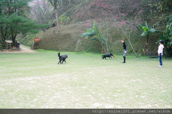 【苗栗景觀餐廳】綠葉方舟 苗栗三義親子旅遊景點推薦【山那邊.綠葉方舟】