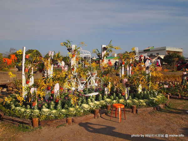 中社觀光花市：【景點】台中中社觀光花市@后里 : 沒有鴛鴦與蝴蝶的花花世界,鬱金香花季果然是很美的!