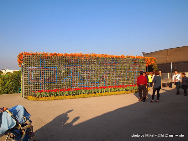中社觀光花市：【景點】台中中社觀光花市@后里 : 沒有鴛鴦與蝴蝶的花花世界,鬱金香花季果然是很美的!
