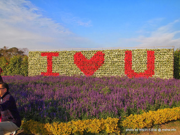 中社觀光花市：【景點】台中中社觀光花市@后里 : 沒有鴛鴦與蝴蝶的花花世界,鬱金香花季果然是很美的!
