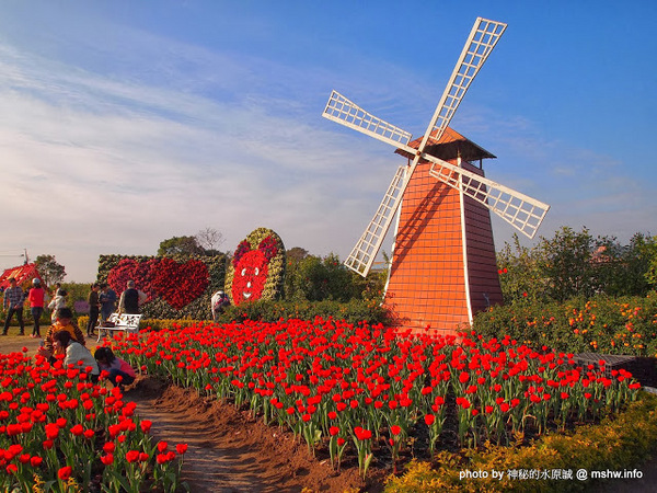 中社觀光花市：【景點】台中中社觀光花市@后里 : 沒有鴛鴦與蝴蝶的花花世界,鬱金香花季果然是很美的!
