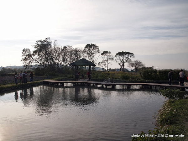 中社觀光花市：【景點】台中中社觀光花市@后里 : 沒有鴛鴦與蝴蝶的花花世界,鬱金香花季果然是很美的!