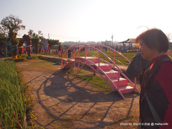 中社觀光花市：【景點】台中中社觀光花市@后里 : 沒有鴛鴦與蝴蝶的花花世界,鬱金香花季果然是很美的!