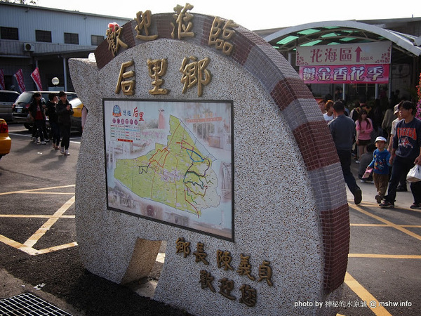 中社觀光花市：【景點】台中中社觀光花市@后里 : 沒有鴛鴦與蝴蝶的花花世界,鬱金香花季果然是很美的!
