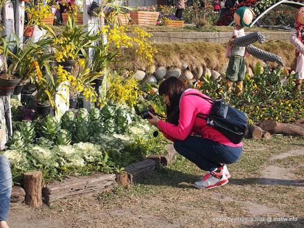 中社觀光花市：【景點】台中中社觀光花市@后里 : 沒有鴛鴦與蝴蝶的花花世界,鬱金香花季果然是很美的!