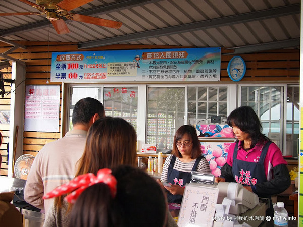 中社觀光花市：【景點】台中中社觀光花市@后里 : 沒有鴛鴦與蝴蝶的花花世界,鬱金香花季果然是很美的!
