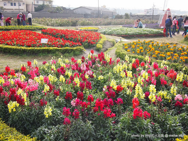 中社觀光花市：【景點】台中中社觀光花市@后里 : 沒有鴛鴦與蝴蝶的花花世界,鬱金香花季果然是很美的!