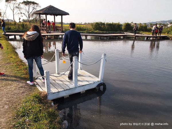 中社觀光花市：【景點】台中中社觀光花市@后里 : 沒有鴛鴦與蝴蝶的花花世界,鬱金香花季果然是很美的!