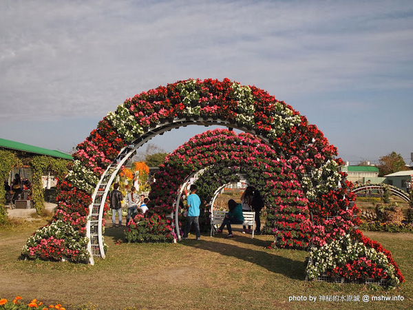 中社觀光花市：【景點】台中中社觀光花市@后里 : 沒有鴛鴦與蝴蝶的花花世界,鬱金香花季果然是很美的!