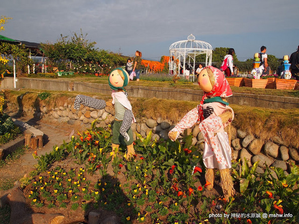 中社觀光花市：【景點】台中中社觀光花市@后里 : 沒有鴛鴦與蝴蝶的花花世界,鬱金香花季果然是很美的!