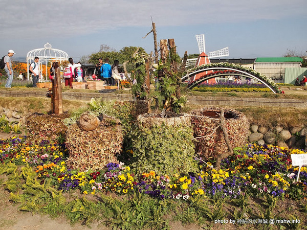 中社觀光花市：【景點】台中中社觀光花市@后里 : 沒有鴛鴦與蝴蝶的花花世界,鬱金香花季果然是很美的!