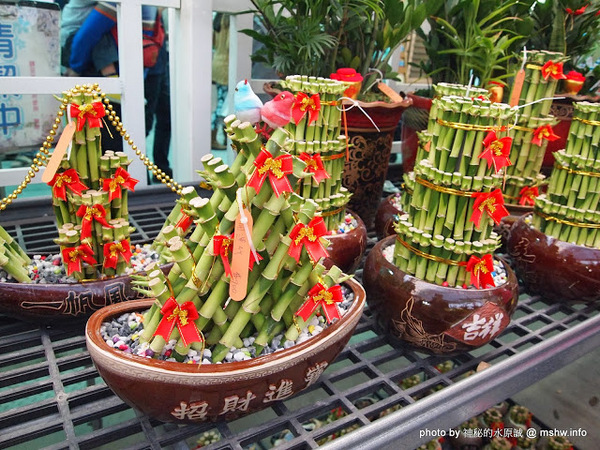 中社觀光花市：【景點】台中中社觀光花市@后里 : 沒有鴛鴦與蝴蝶的花花世界,鬱金香花季果然是很美的!