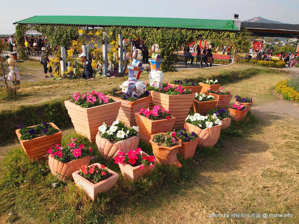 中社觀光花市：【景點】台中中社觀光花市@后里 : 沒有鴛鴦與蝴蝶的花花世界,鬱金香花季果然是很美的!