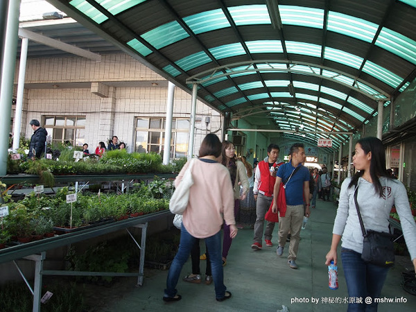 中社觀光花市：【景點】台中中社觀光花市@后里 : 沒有鴛鴦與蝴蝶的花花世界,鬱金香花季果然是很美的!