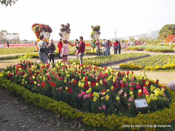 中社觀光花市：【景點】台中中社觀光花市@后里 : 沒有鴛鴦與蝴蝶的花花世界,鬱金香花季果然是很美的!