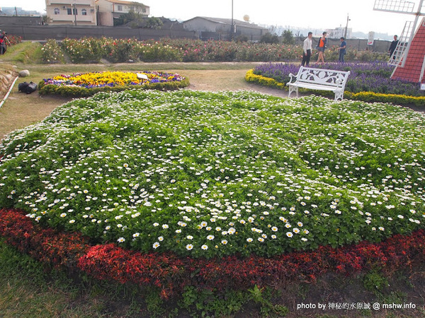 中社觀光花市：【景點】台中中社觀光花市@后里 : 沒有鴛鴦與蝴蝶的花花世界,鬱金香花季果然是很美的!