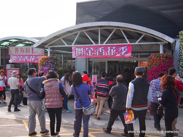 中社觀光花市：【景點】台中中社觀光花市@后里 : 沒有鴛鴦與蝴蝶的花花世界,鬱金香花季果然是很美的!