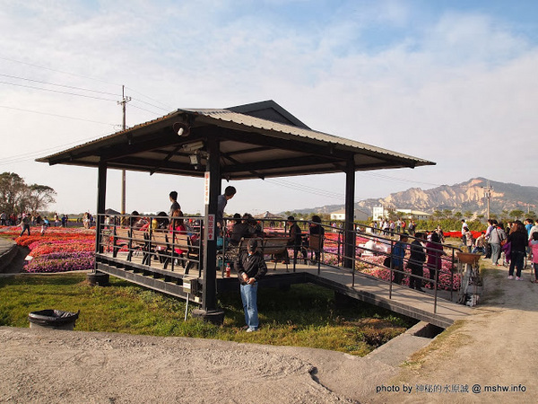 中社觀光花市：【景點】台中中社觀光花市@后里 : 沒有鴛鴦與蝴蝶的花花世界,鬱金香花季果然是很美的!