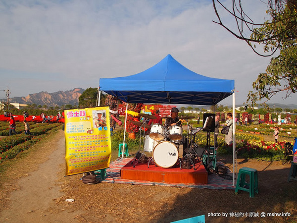 中社觀光花市：【景點】台中中社觀光花市@后里 : 沒有鴛鴦與蝴蝶的花花世界,鬱金香花季果然是很美的!
