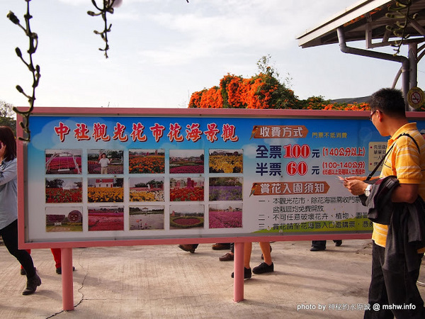 中社觀光花市：【景點】台中中社觀光花市@后里 : 沒有鴛鴦與蝴蝶的花花世界,鬱金香花季果然是很美的!