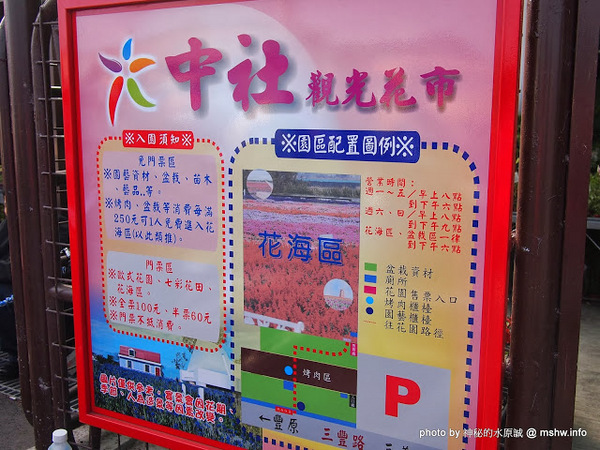 中社觀光花市：【景點】台中中社觀光花市@后里 : 沒有鴛鴦與蝴蝶的花花世界,鬱金香花季果然是很美的!