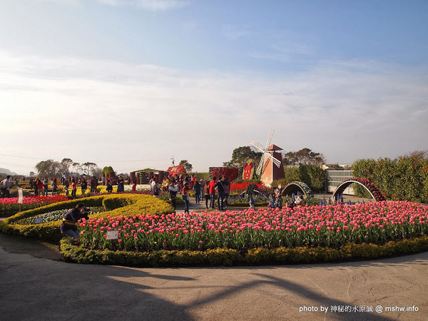 中社觀光花市：【景點】台中中社觀光花市@后里 : 沒有鴛鴦與蝴蝶的花花世界,鬱金香花季果然是很美的!